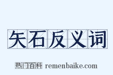 矢石反义词是什么意思的图片